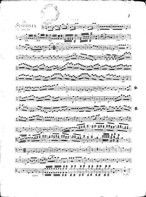 Violas