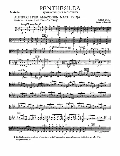 Violas