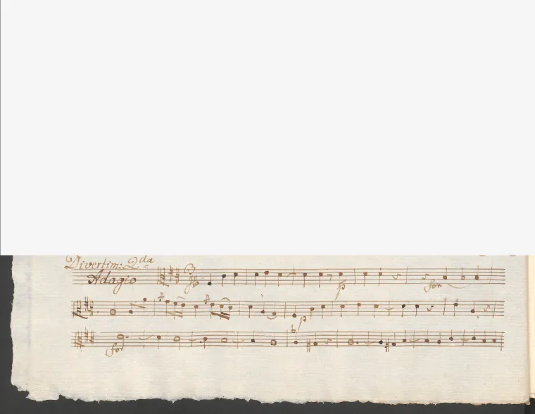 Viola
