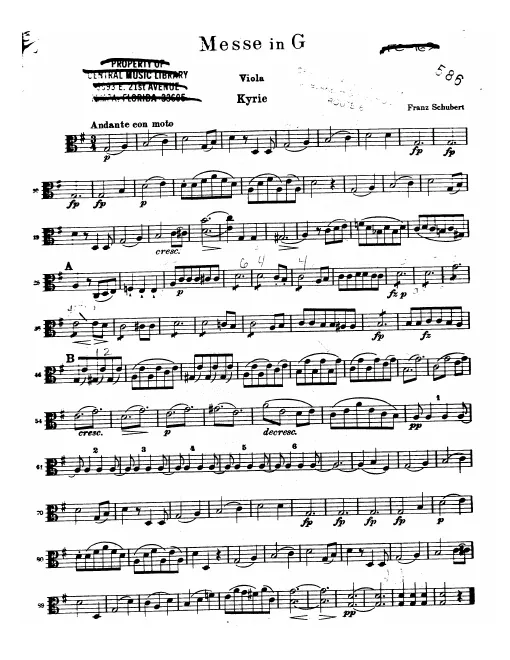 Violas