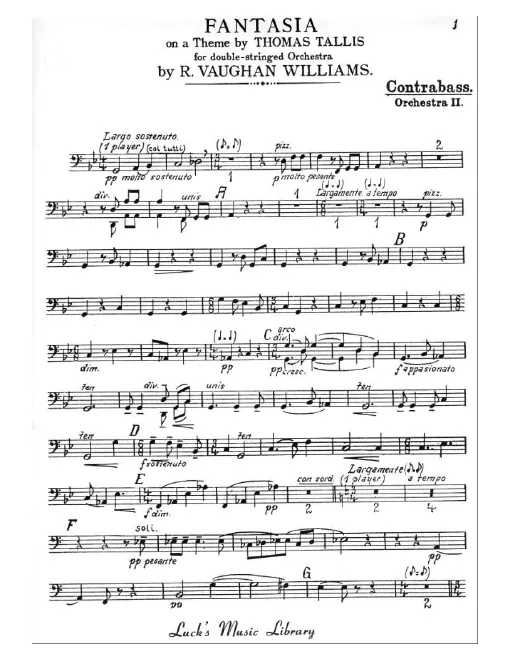 Basses