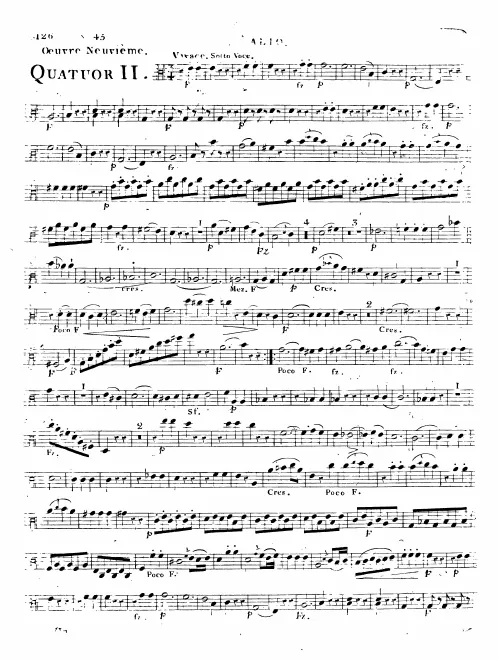 Viola