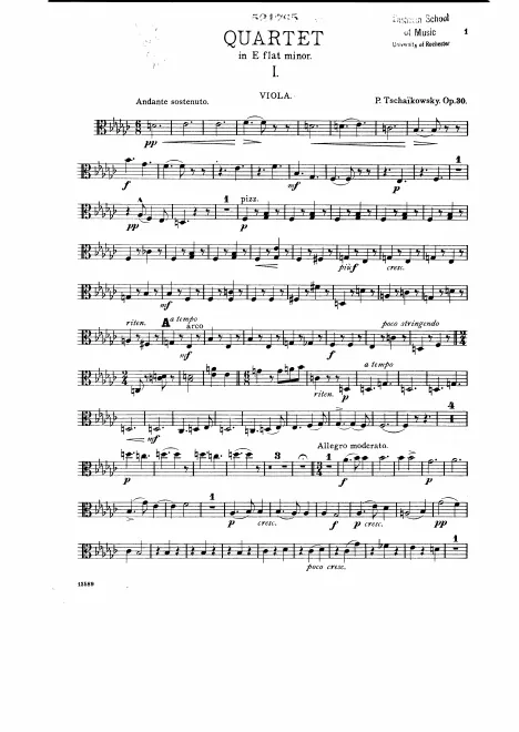 Viola