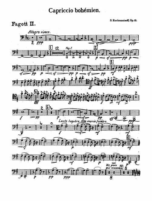 Bassoon 2