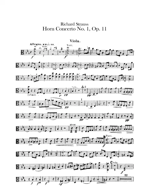 Violas