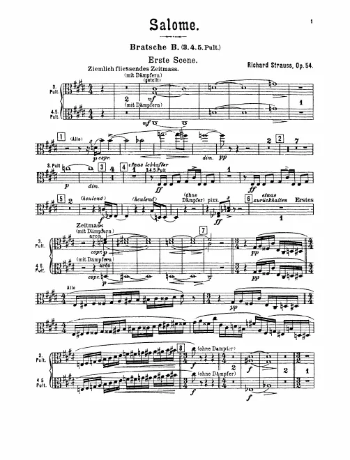 Violas (B)