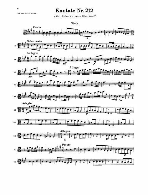 Viola(s)