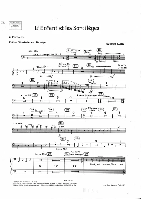 Timpani/Piccolo Timpani