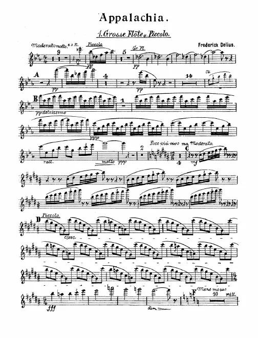 Flute 1/Piccolo, 2/3