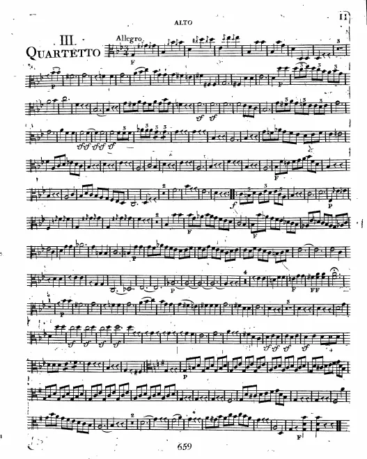 Viola