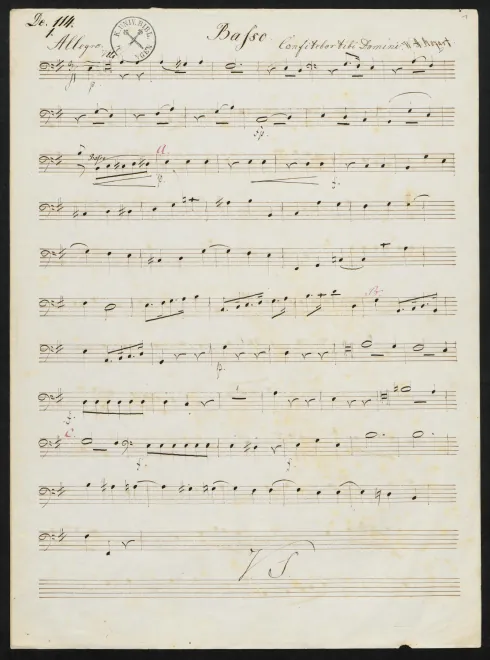 Cello/Basses