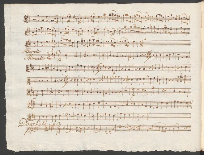 Viola (Segment 2)
