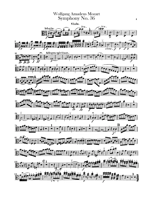 Violas