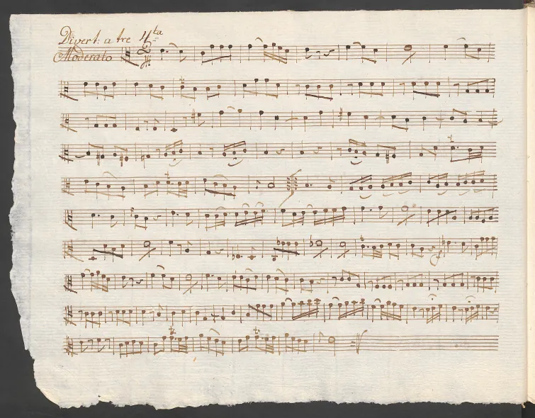 Viola