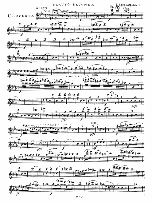 Flute 2