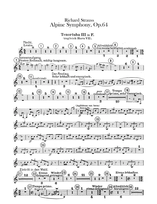 Horn 7 (E/E/F)/Wagner Tuba 3 (F)