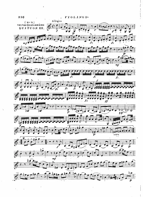 Violin 2