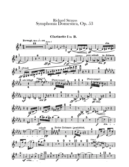 Clarinet 1 (B)