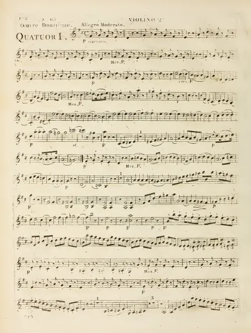 Violin 2