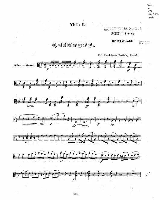 Viola 1