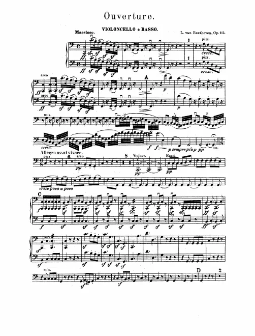 Cellos/Basses