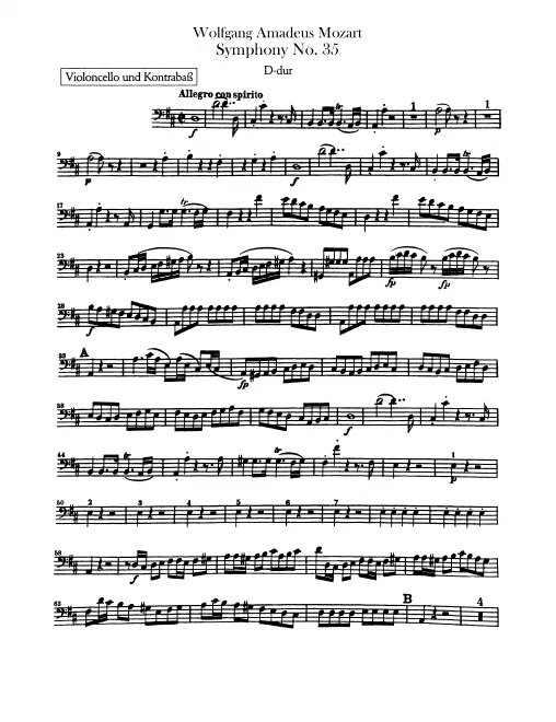 Cellos/Basses
