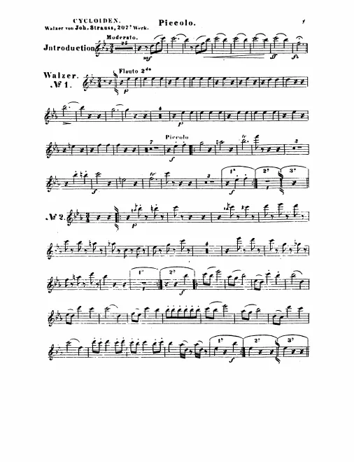 Piccolo, Flute