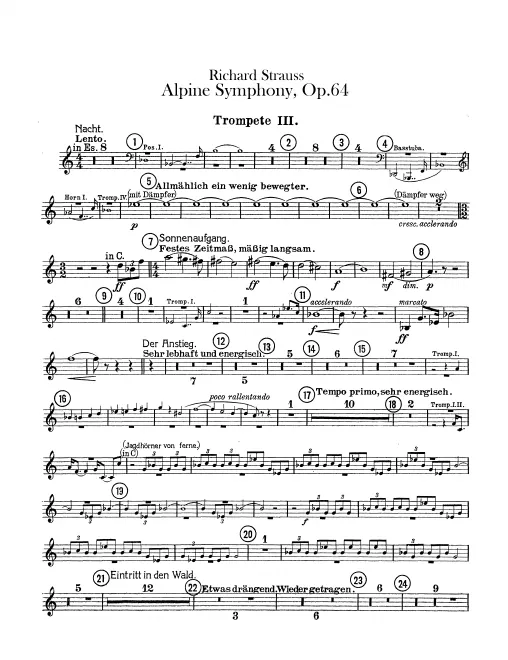 Trumpet 3 (C/E)