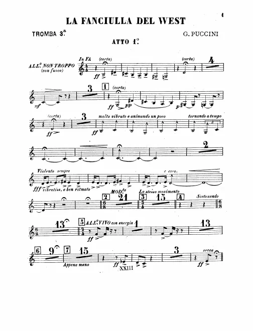 Trumpet 3
