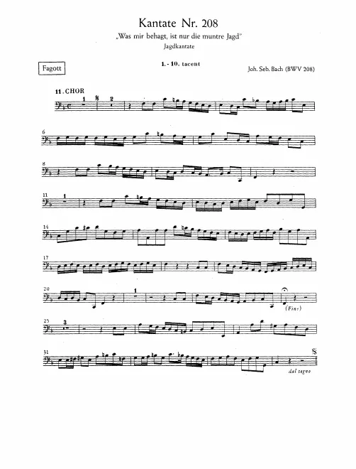 Bassoon