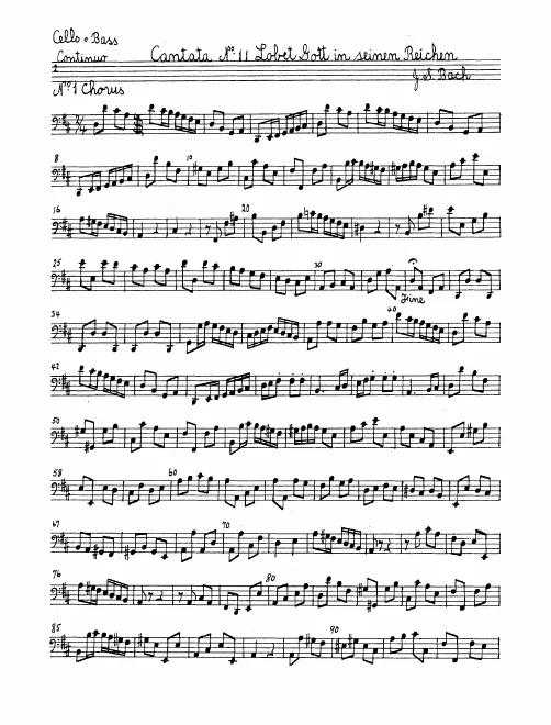 Continuo (Cellos/Basses)