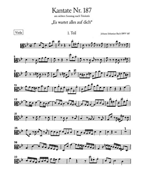 Violas
