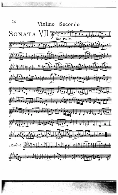 Violin 2