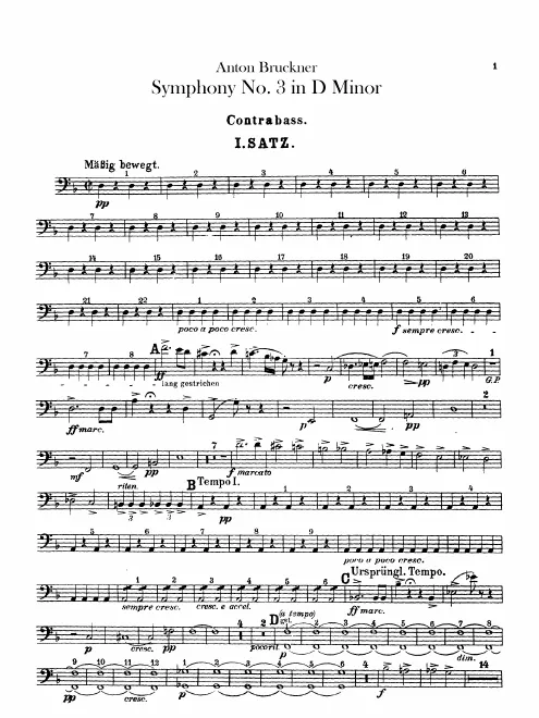 Basses