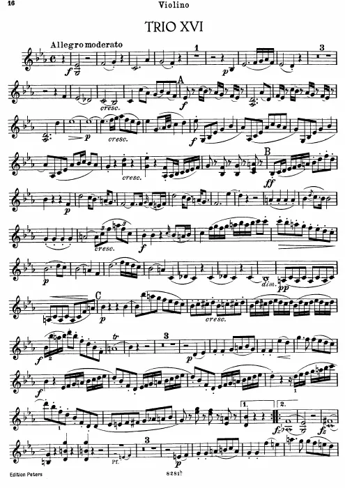 Violin