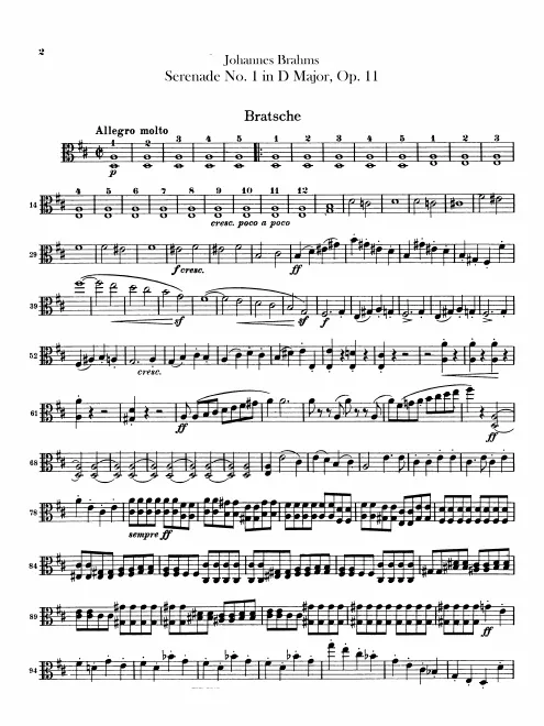 Violas