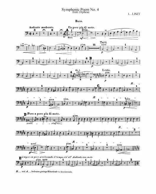 Basses