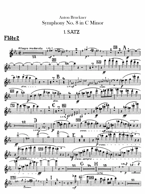 Flute 2
