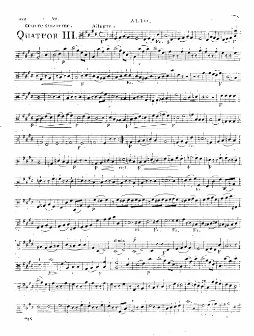 Viola