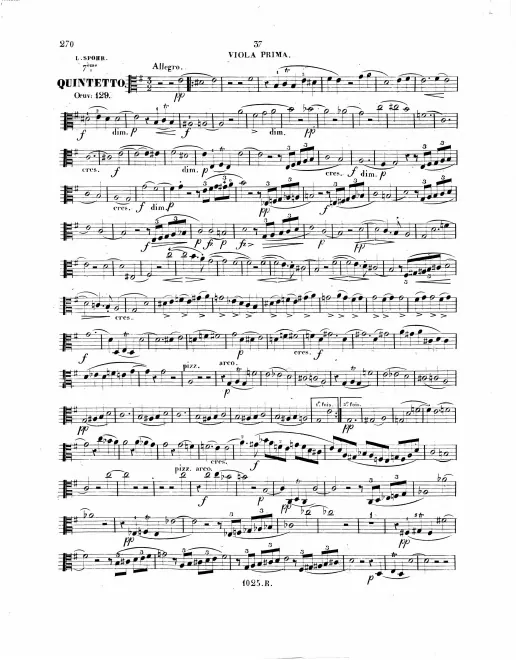 Viola 1