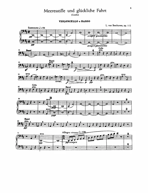 Cellos/Basses
