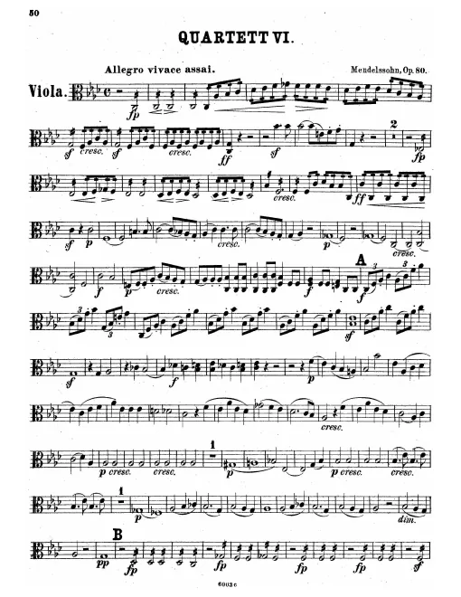 Viola