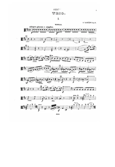 Viola