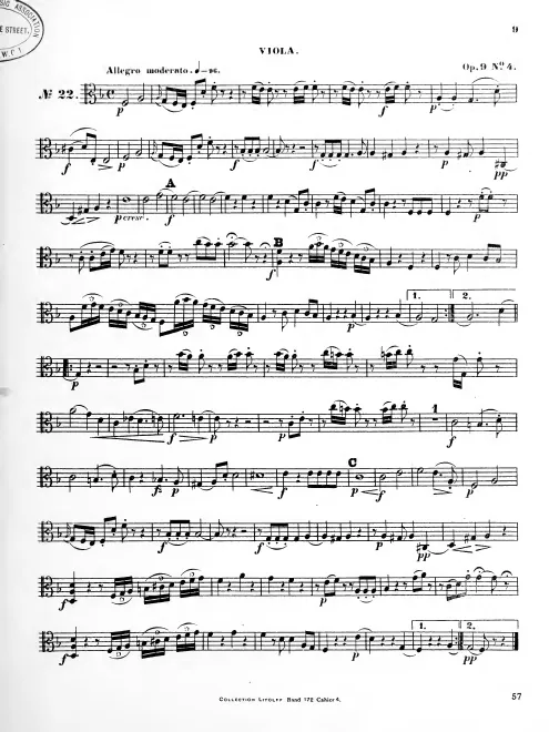 Viola