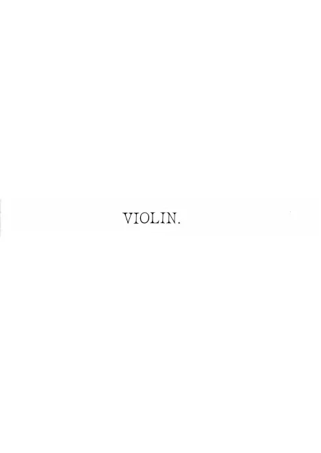 Violin