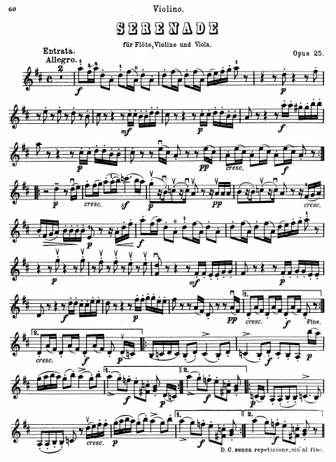 Violin