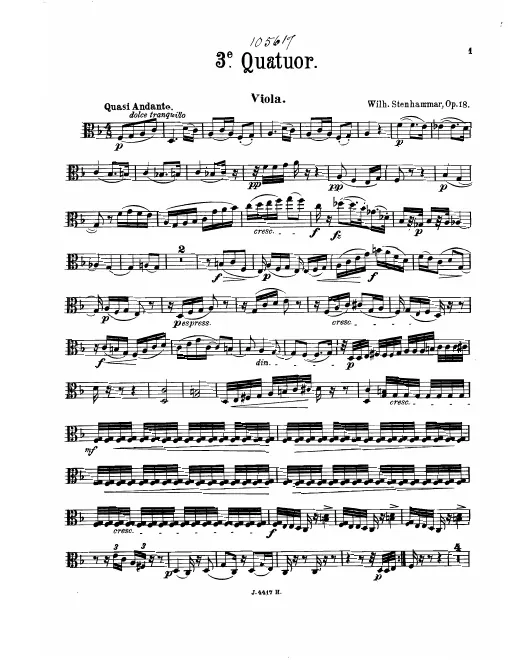Viola