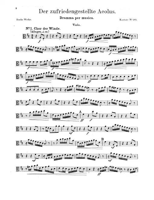 Violas