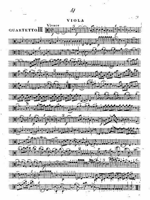 Viola