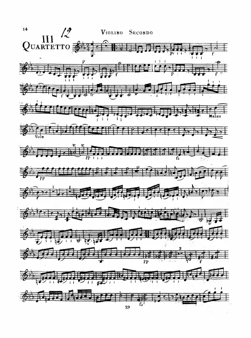 Violin 2
